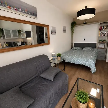 Climatise Avec Piscine, Tennis Et Parking Gratuit Agde